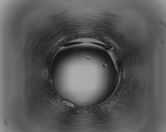 X0000091860821200709121328