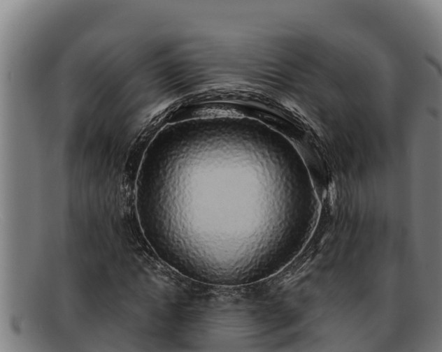 X0000091860822200709121328