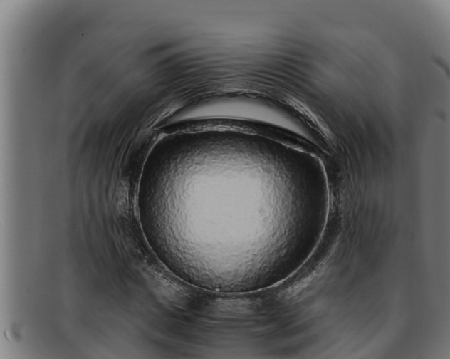 X0000091860825200709121328