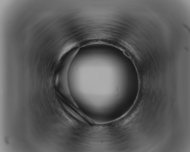 X0000091860826200709121328