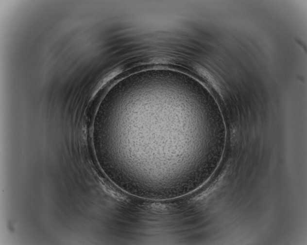 X0000091860827200709121328