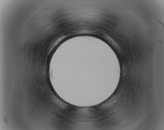 X0000091860828200709121328