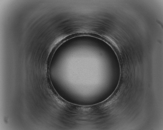 X0000091860831200709121328