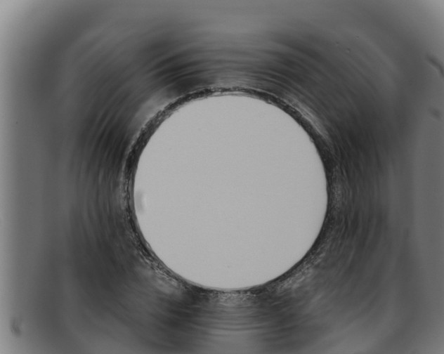 X0000091860832200709121328