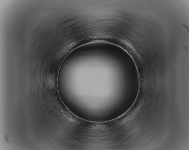 X0000091860833200709121328