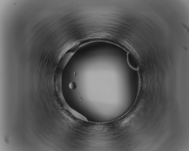 X0000091860834200709121328