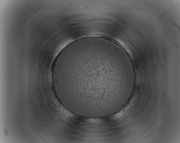 X0000091860835200709121328