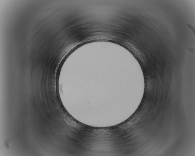 X0000091860836200709121328