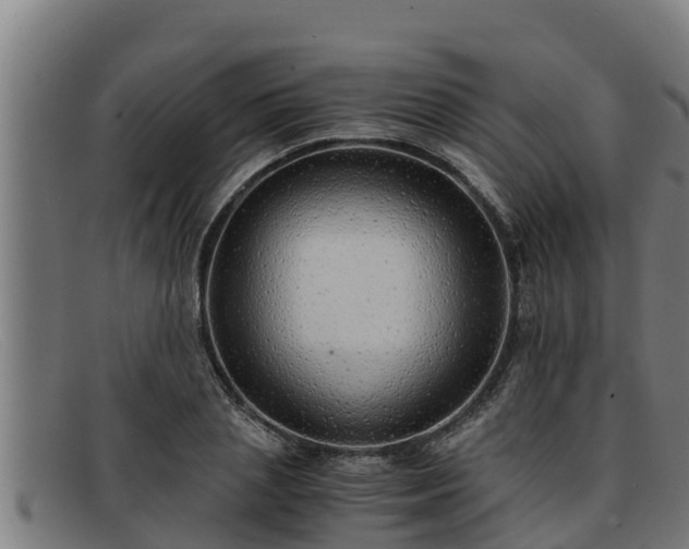 X0000091860837200709121328