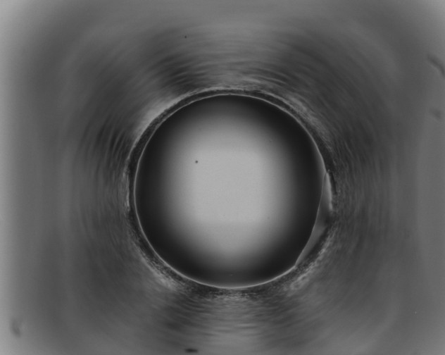 X0000091860838200709121328