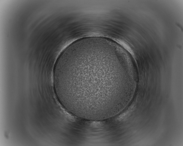 X0000091860839200709121328