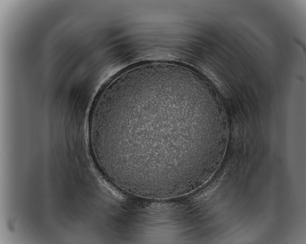 X0000091860840200709121328