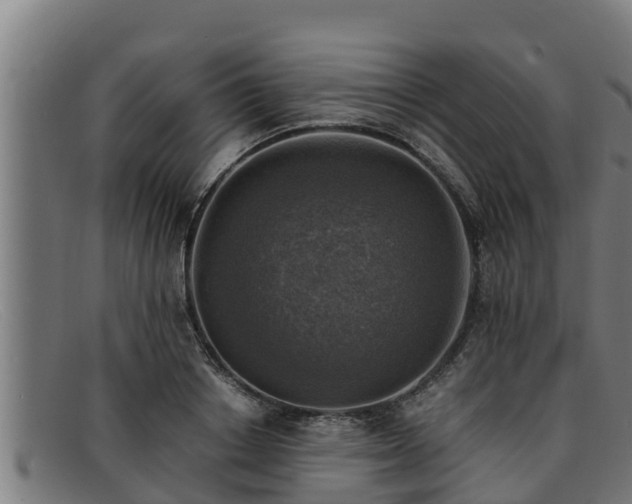 X0000091860842200709121328