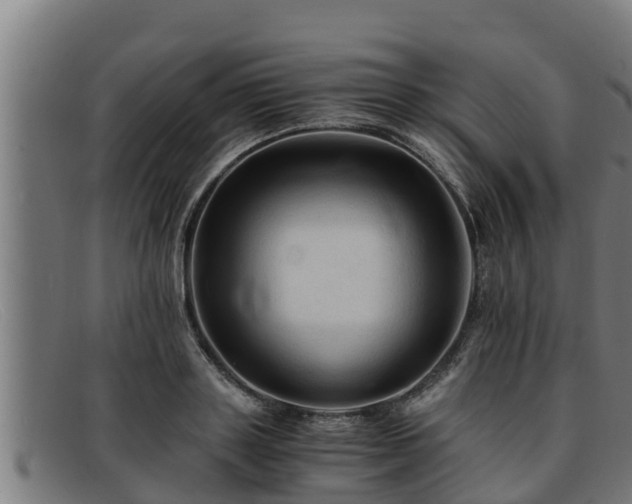 X0000091860843200709121328