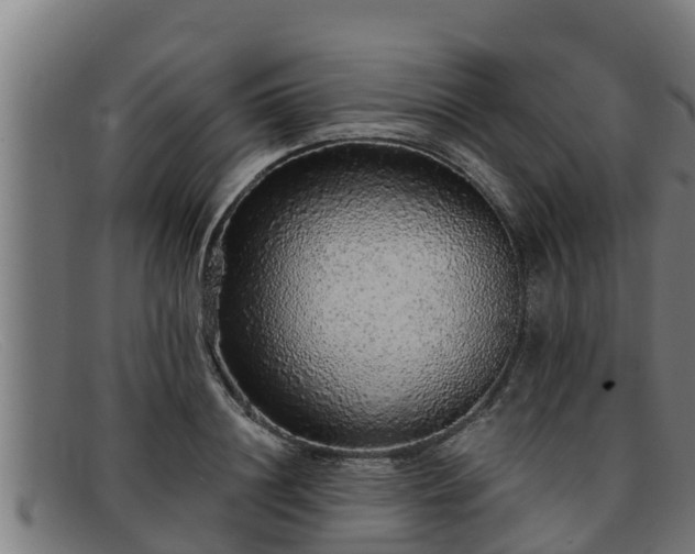 X0000091860844200709121328