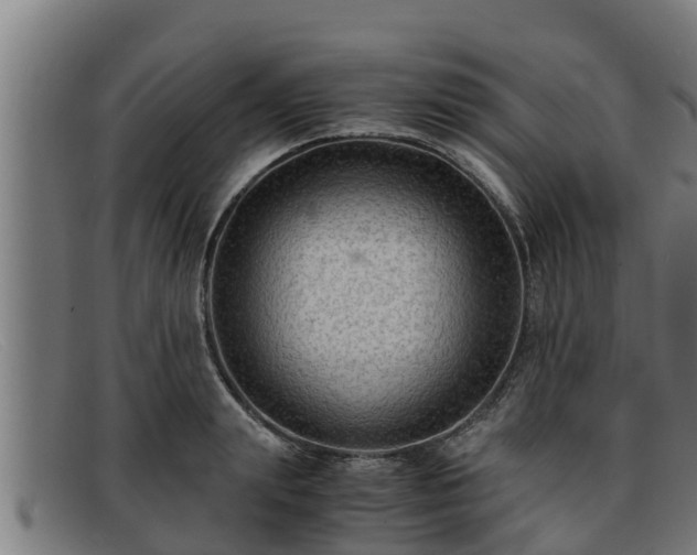 X0000091860847200709121328