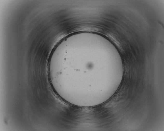 X0000091860848200709121328