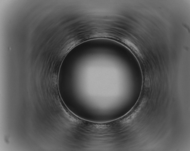 X0000091860849200709121328