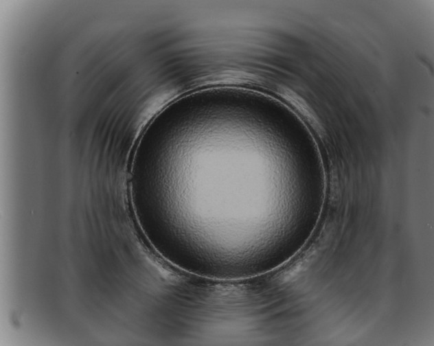 X0000091860850200709121328