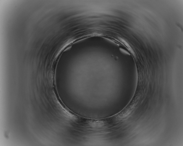 X0000091860851200709121328