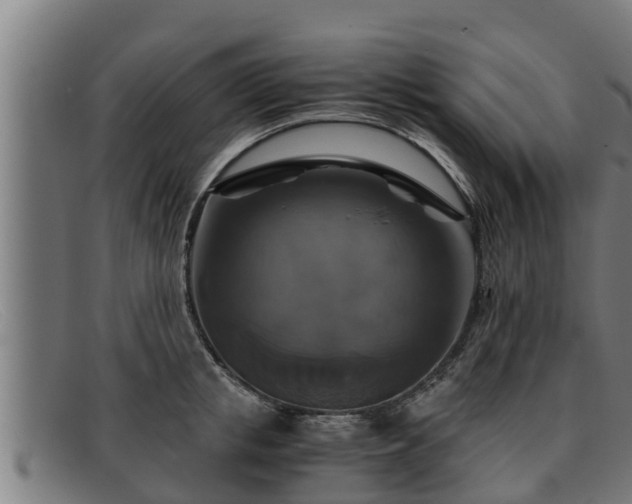 X0000091860853200709121328