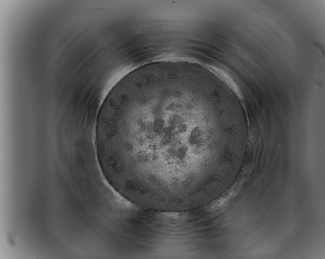 X0000091860855200709121328