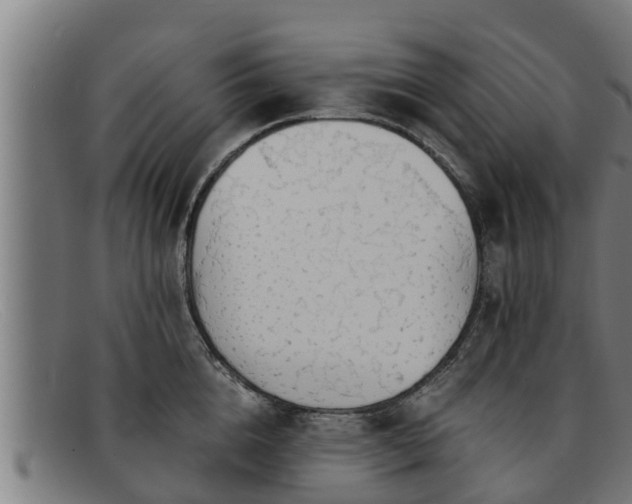 X0000091860856200709121328