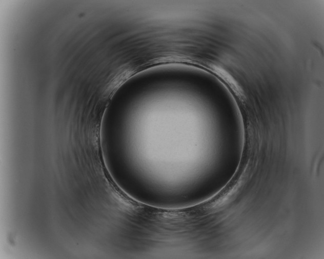 X0000091860857200709121328