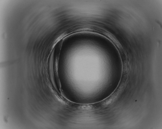 X0000091860858200709121328