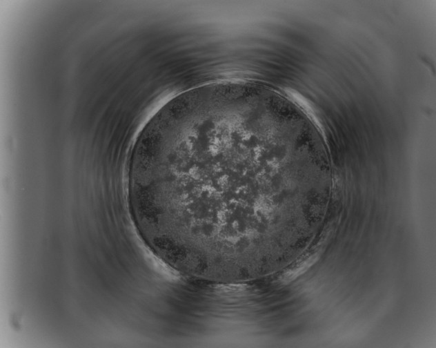 X0000091860859200709121328