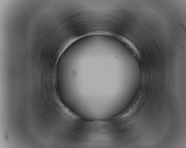 X0000091860860200709121328