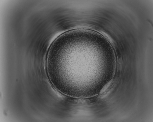 X0000091860862200709121329