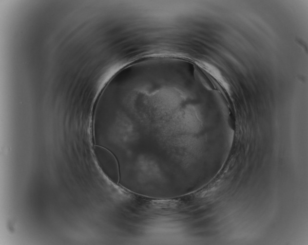 X0000091860863200709121329