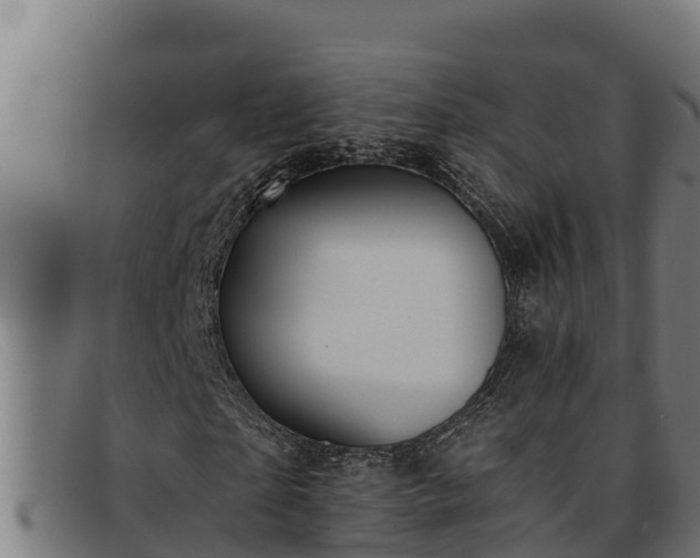 X0000091860865200709121328