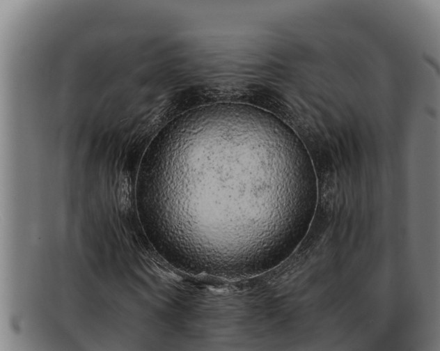 X0000091860866200709121328