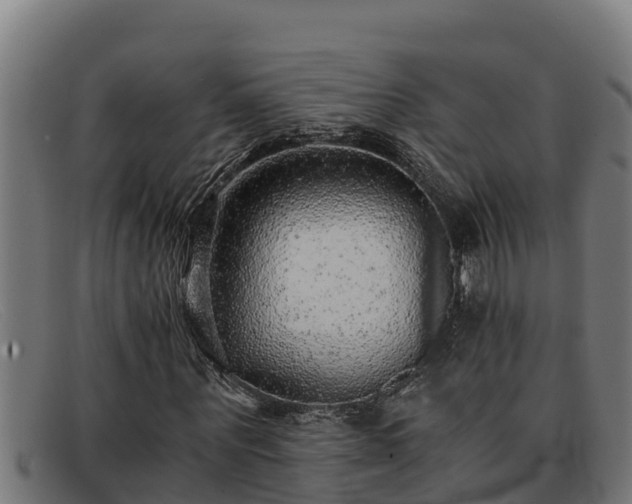 X0000091860867200709121328