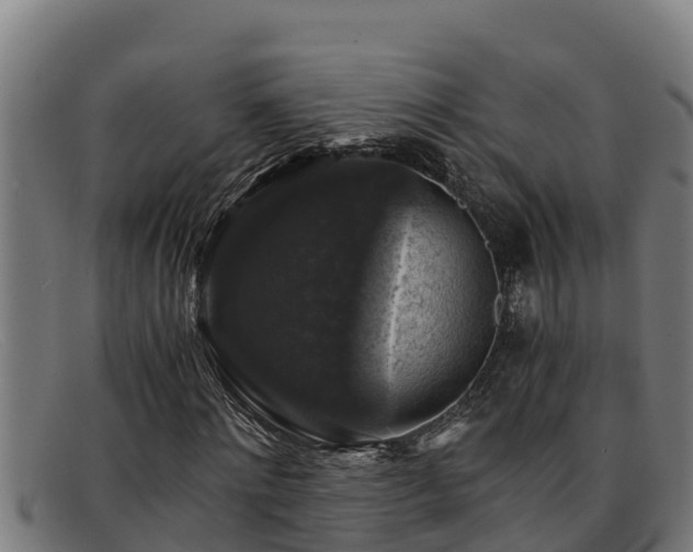 X0000091860868200709121328