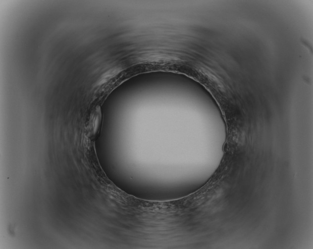 X0000091860869200709121328