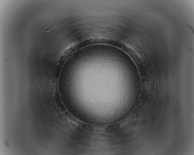 X0000091860870200709121328