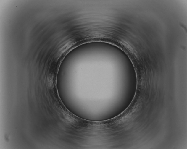 X0000091860873200709121328