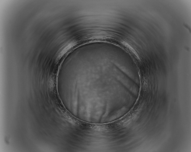 X0000091860874200709121328