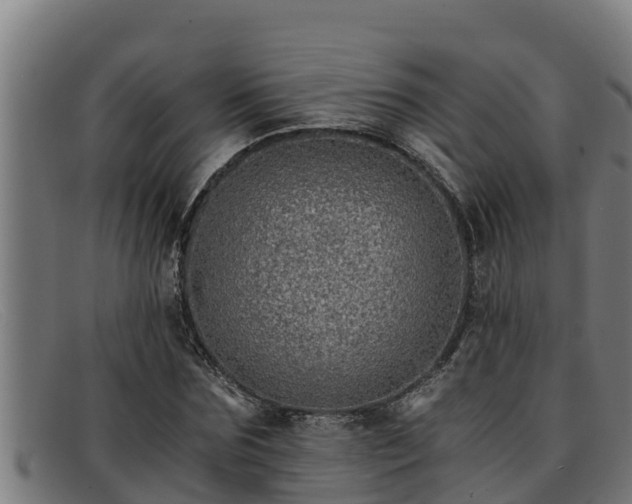 X0000091860875200709121328