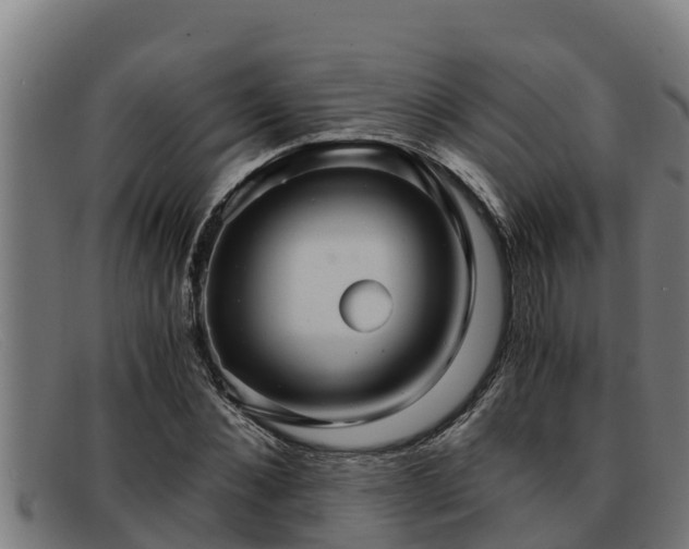 X0000091860876200709121328