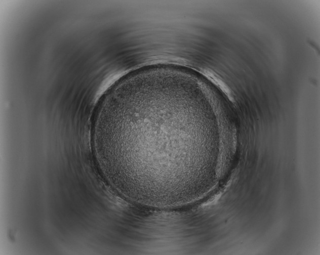 X0000091860877200709121328