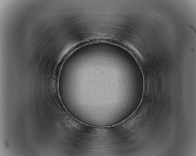 X0000091860878200709121328