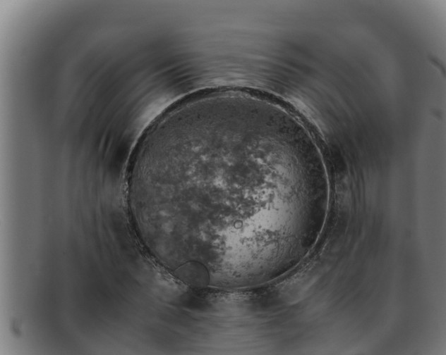 X0000091860879200709121328