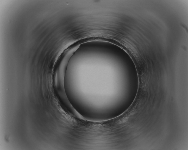 X0000091860880200709121328