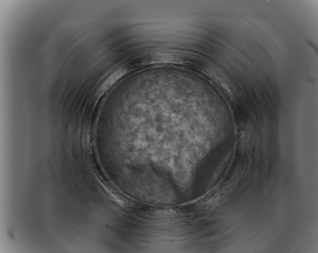 X0000091860882200709121328