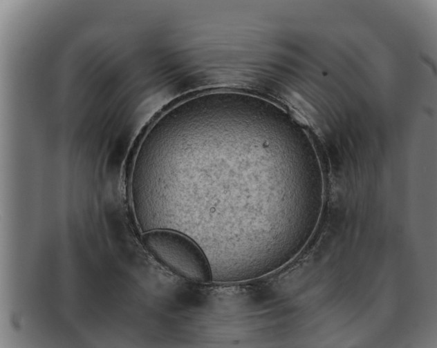 X0000091860883200709121328