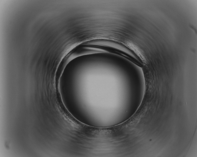 X0000091860884200709121328